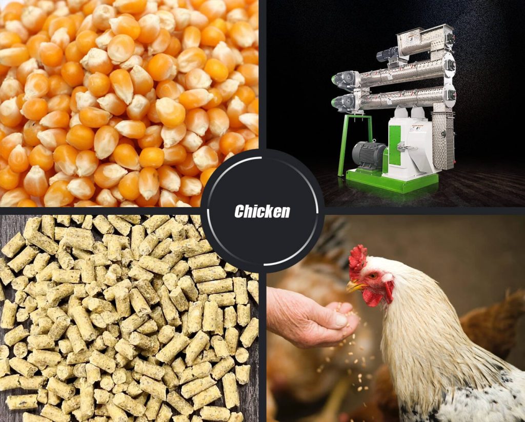 How To Make Chicken Feed Pellet