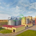 The Significance Of Starting Laying Hen Chicken Feed Plant in Morocco