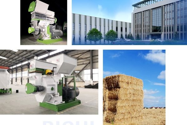 RICHI straw pellet mill