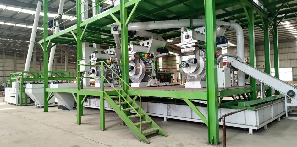 20T/H biomass pellet production line installed in Bangladesh for rice husk pellet making