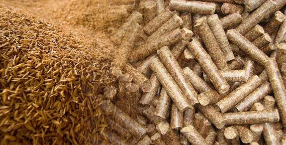 Rice husk biomass fuel pellets produced by rice husk pellet mill